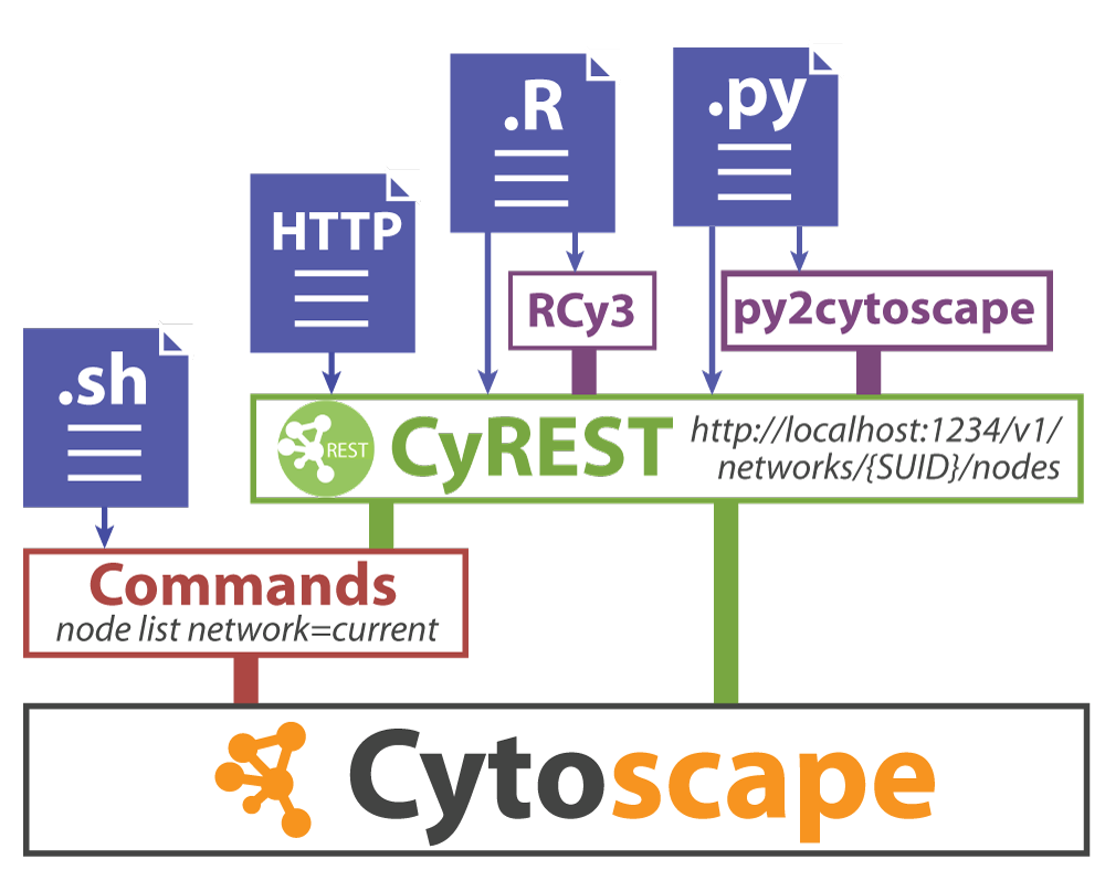 Different ways to communicate with Cytoscape