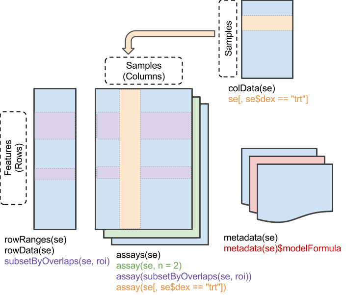 The SummarizedExperiment class is used to store rectangular arrays of experimental results (assays). Although each assay is here drawn as a matrix, higher-dimensional arrays are also supported.