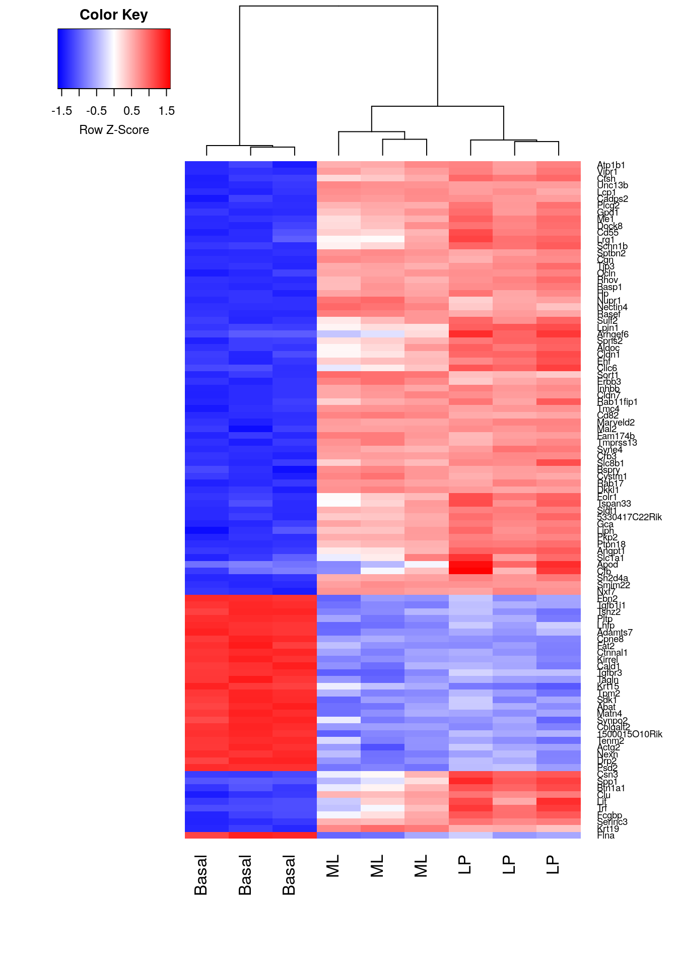 Heatmap of log-CPM values for top 100 genes DE in basal versus LP. Expression across each gene (or row) have been scaled so that mean expression is zero and standard deviation is one. Samples with relatively high expression of a given gene are marked in red and samples with relatively low expression are marked in blue. Lighter shades and white represent genes with intermediate expression levels. Samples and genes have been reordered by the method of hierarchical clustering. A dendrogram is shown for the sample clustering.