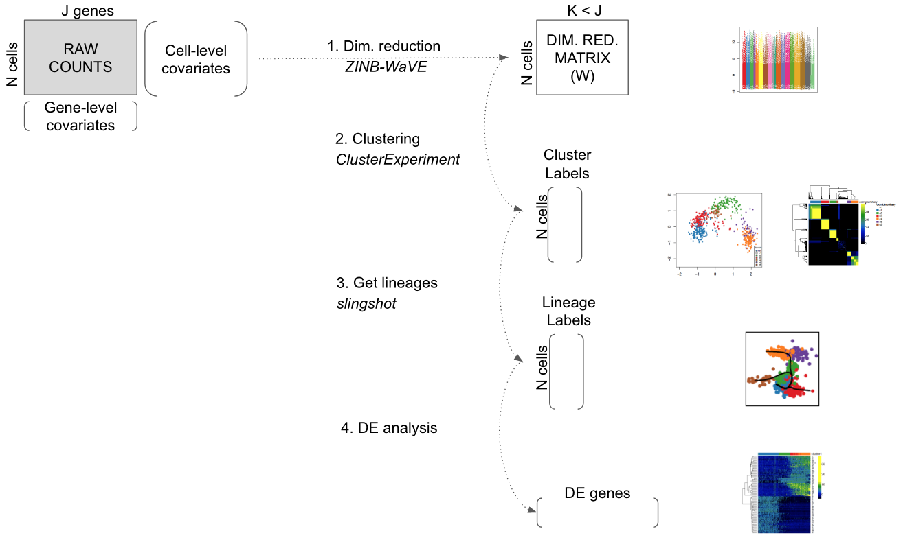 Workflow for analyzing scRNA-seq datasets. On the right, main plots generated by the workflow.