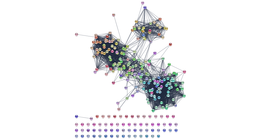 Initial network returned by String from our set of Mesenchymal query genes