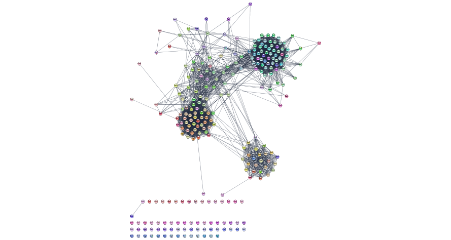 Initial network returned by String from our set of Mesenchymal query genes